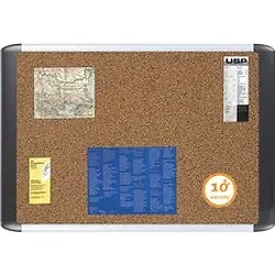 BI-SILQUE VISUAL COMMUNICATION PRODUCTS-BVC MVI030501