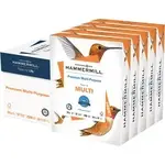 INTERNATIONAL PAPER HAM 105810