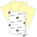 INTERNATIONAL PAPER HAM 104307