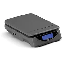 Brecknell SBW PS25GRAY