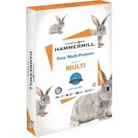INTERNATIONAL PAPER-HAM 102848