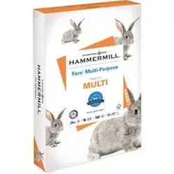 INTERNATIONAL PAPER-HAM 102848