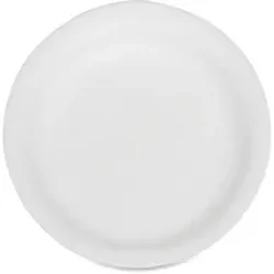 National Industries For the Blind-7350002900593