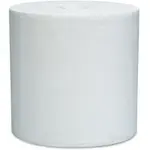 KIMBERLY CLARK KCC 05820
