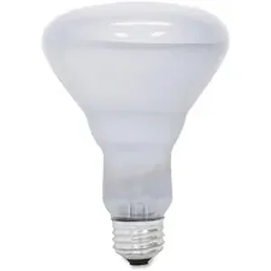 Ge GEL 48692CT - Lighting Reveal 65-watt R30 Floodlight - 65 W - 120 V AC - 510 lm - BR30 Size - Soft White Light Color - E26 Base - 2000 Hour - 4310.3°F (2376.8°C) Color Temperature - 30 / Carton