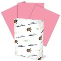 INTERNATIONAL PAPER-HAM 102210CT