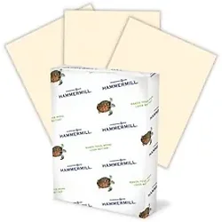 INTERNATIONAL PAPER-HAM 103176CT