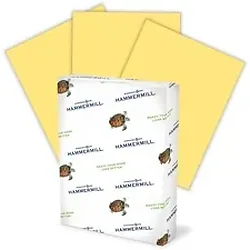 INTERNATIONAL PAPER-HAM 103325CT