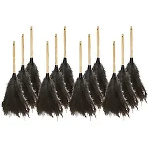 Genuine Joe GJO 90118CT - Joe Feather Duster - 12 / Carton - Brown