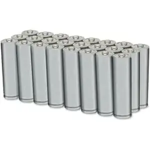National Industries For The Blind 6135009857845 - SKILCRAFT AA Alkaline Batteries - For General Purpose - AA - 1.5 V DC - 24 / Pack