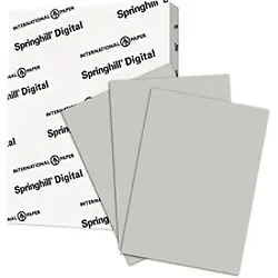 INTERNATIONAL PAPER-SGH 065300