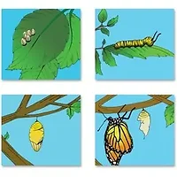 Ashley Productions Inc-ASH 10060