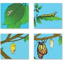 Ashley Productions Inc-ASH 10060