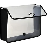 Lion Office Products Inc-LIO 48160CR