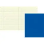 Dominion Blueline Inc RED 43581