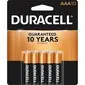 Duracell-DUR MN2400B10ZCT