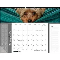 Dominion Blueline Inc-RED C194116