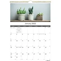 Dominion Blueline Inc-RED C173121