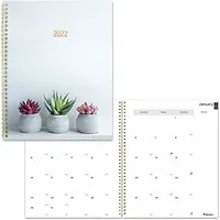 Dominion Blueline Inc-RED C701PT01