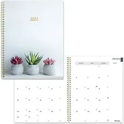 Dominion Blueline Inc-RED C701PT01