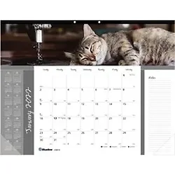 Dominion Blueline Inc-RED C194115