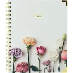 Dominion Blueline Inc-RED C3600202