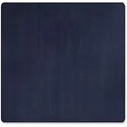 Flagship Carpets LLC-FCI AS26NV