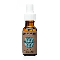 Paavani Ayurveda-30