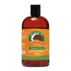 Ebrookmyer Inc-TP-16