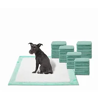 Petix Company Llc-1012196-3