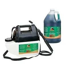 Ebrookmyer Inc-GUGC-PS1