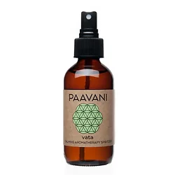 Paavani Ayurveda-1
