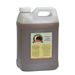 Ebrookmyer Inc-TP-2.5G