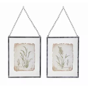 Melrose International 78114DS - Set of 2 Glass and Metal Grass Frames - 12.5 x 16H