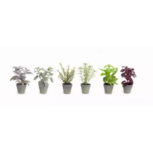 Melrose International 70457DS - Artificial Herb Planters (Set of 12) - Easy Care Decor