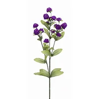 Melrose International-78645DS