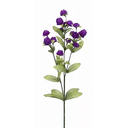 Melrose International-78645DS