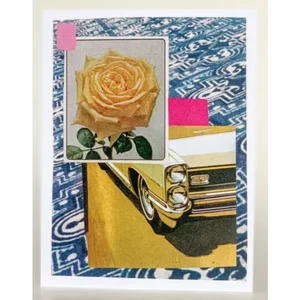 Barnes Cards Llc SQ6544634 - Pack of 6 Thank You Greeting Cards - Elegantly Designed