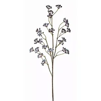 Melrose International-81076DS