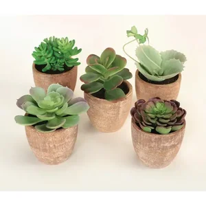 Melrose International 50511DS - Artificial Succulent Plant Set (5 Pieces) in Pots