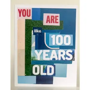 Barnes Cards Llc SQ1310833 - You Are Like 100 Years Old Birthday Card (Set of 6)