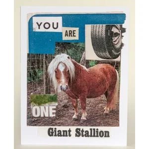 Barnes Cards Llc SQ2405741 - You Are One Giant Stallion Birthday Greeting Card Pack