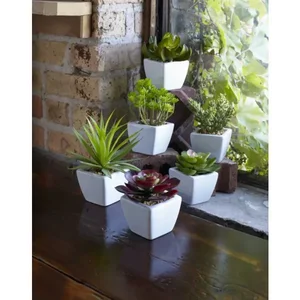 Melrose International 62421DS - Set of 6 Ceramic and Plastic Potted Succulents - 7" H