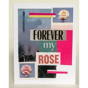 Barnes Cards Llc SQ4668607 - Forever My Rose Greeting Card Pack - 6 Elegant Cards