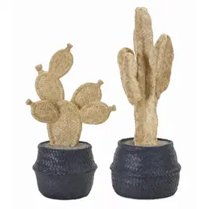 Melrose International 78567DS - Set of 2 Resin Cactus Pots - 13"H & 16"H