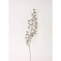 Melrose International-81124DS