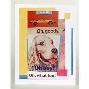 Barnes Cards Llc SQ2049165 - Oh, Goody! Birthday Greeting Cards - Pack of 6