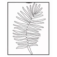 Melrose International-78743DS