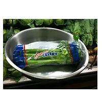 International Plastics Inc-FOP0716-CEL