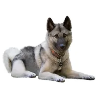 Taganize Inc-NDT-001